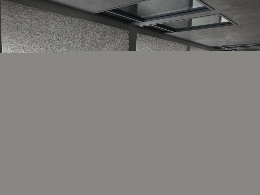 flocage acoustique